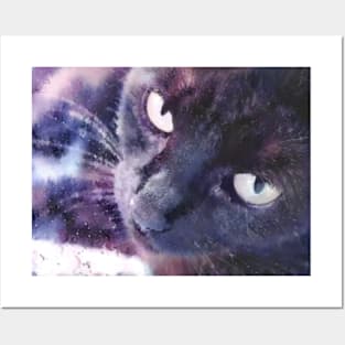 Galaxy cat Posters and Art